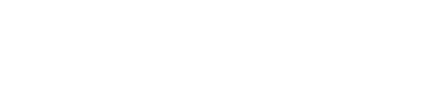 Wealth Web Marketing